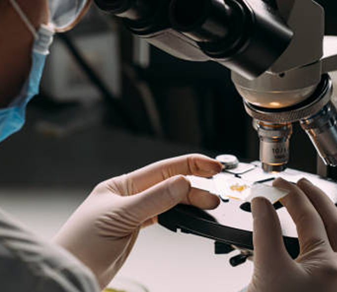 Toxicology